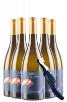 6 Bottiglie Trentino DOC Pinot Grigio 2019 Selezione Adel + OMAGGIO 1 cavatappi Adel