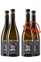 6 Bottiglie Pecorino 2020 I Carbonari + 6 OMAGGIO
